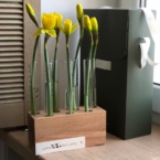 MF5138 - Коробка алхимия серии IQ с желтыми нарциссами фото №1 - moscowflorist.ru