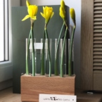 MF5138 - Коробка алхимия серии IQ с желтыми нарциссами фото №2 - moscowflorist.ru