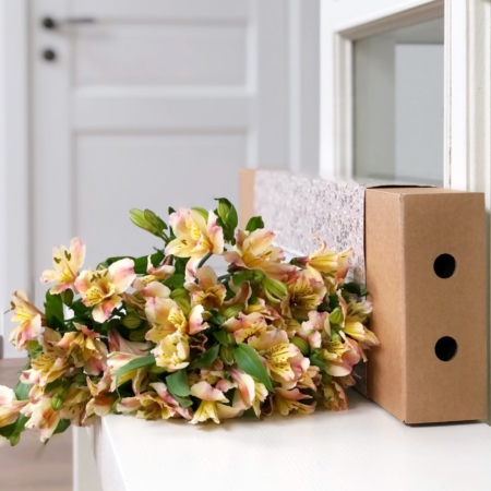 MF5577 - Фирменный футляр-коробка с пышной альстромерией - фото moscowflorist.ru