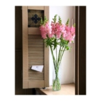 MF1172 - Сезонные цветы. Львиный зев (Антиринум) 9 шт. картинка №3 - moscowflorist.ru MF1172 - Сезонные цветы. Львиный зев (Антиринум) 9 шт. фото №3 - moscowflorist.ru