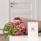 MF1172 - Сезонные цветы. Львиный зев (Антиринум) 9 шт. картинка №4 - moscowflorist.ru MF1172 - Сезонные цветы. Львиный зев (Антиринум) 9 шт. фото №4 - moscowflorist.ru