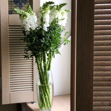 MF1172 - Сезонные цветы. Львиный зев (Антиринум) 9 шт.  - фото moscowflorist.ru