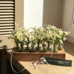MF5231 - Ромашковая Алхимия в цветочном чемоданчике картинка №4 - moscowflorist.ru MF5231 - Ромашковая Алхимия в цветочном чемоданчике фото №4 - moscowflorist.ru