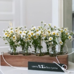 MF5231 - Ромашковая Алхимия в цветочном чемоданчике картинка №3 - moscowflorist.ru MF5231 - Ромашковая Алхимия в цветочном чемоданчике фото №3 - moscowflorist.ru