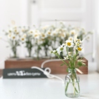 MF5231 - Ромашковая Алхимия в цветочном чемоданчике картинка №5 - moscowflorist.ru MF5231 - Ромашковая Алхимия в цветочном чемоданчике фото №5 - moscowflorist.ru