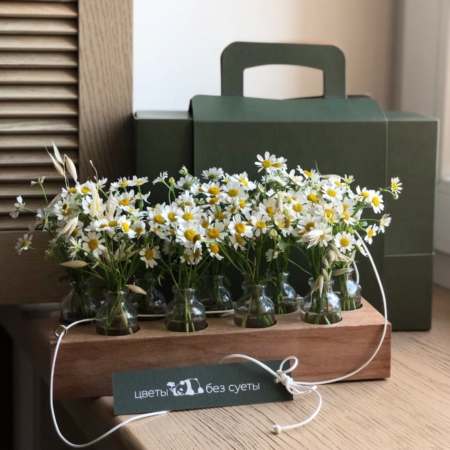 MF5231 - Ромашковая Алхимия в цветочном чемоданчике - фото moscowflorist.ru