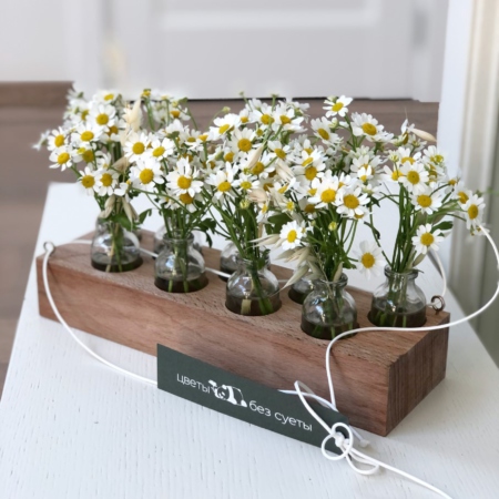 MF5231 - Ромашковая Алхимия в цветочном чемоданчике - фото moscowflorist.ru