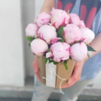 MF8112 - PandaBowl с пионами картинка №3 - moscowflorist.ru MF8112 - PandaBowl с пионами фото №3 - moscowflorist.ru