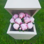 MF8112 - PandaBowl с пионами картинка №1 - moscowflorist.ru MF8112 - PandaBowl с пионами фото №1 - moscowflorist.ru
