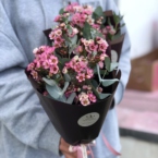 MF1185 - Букеты-комплименты с вакслауэром и эвкалиптом фото №2 - moscowflorist.ru