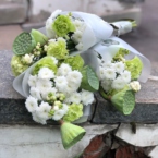 MF1186 - Зеленые букеты-комплименты с лотосами картинка №3 - moscowflorist.ru MF1186 - Зеленые букеты-комплименты с лотосами фото №3 - moscowflorist.ru