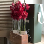 MF5139 - Коробка Алхимия с орхидеями фото №2 - moscowflorist.ru