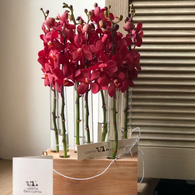 MF5139 - Коробка Алхимия с орхидеями фото - moscowflorist.ru