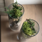 MF5859 - Новогодняя композиция в вазе (продажа от 2 шт.) фото №3 - moscowflorist.ru