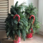 MF3048 - Елка фирменная  