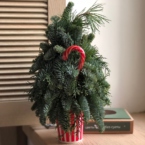 MF3048 - Елка фирменная  