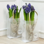 k1081 - Букеты-комплименты с гиацинтами (продажа от 10 шт.) фото №1 - moscowflorist.ru