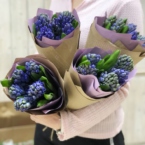 k1081 - Букеты-комплименты с гиацинтами (продажа от 10 шт.) фото №3 - moscowflorist.ru