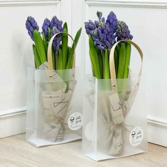 k1081 - Букеты-комплименты с гиацинтами (продажа от 10 шт.) фото - moscowflorist.ru