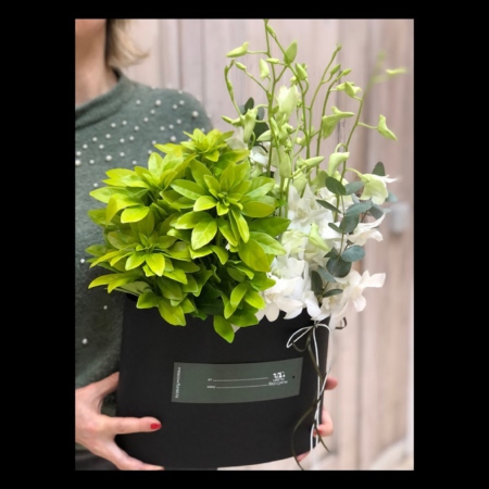 MF0922 - Фирменная овальная коробка бело-зеленый микс - фото moscowflorist.ru