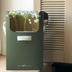 MF5142 - Сезонные цветы - Аллиум. Серия Алхимия. фото №2 - moscowflorist.ru