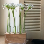 MF5142 - Сезонные цветы - Аллиум. Серия Алхимия. фото №3 - moscowflorist.ru