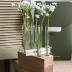 MF5142 - Сезонные цветы - Аллиум. Серия Алхимия. фото №4 - moscowflorist.ru