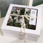 MF5422 - Алхимия Магия круга Альстромерия картинка №6 - moscowflorist.ru MF5422 - Алхимия Магия круга Альстромерия фото №6 - moscowflorist.ru