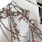 MF1311 - Весенние ветки с вазой фото №3 - moscowflorist.ru