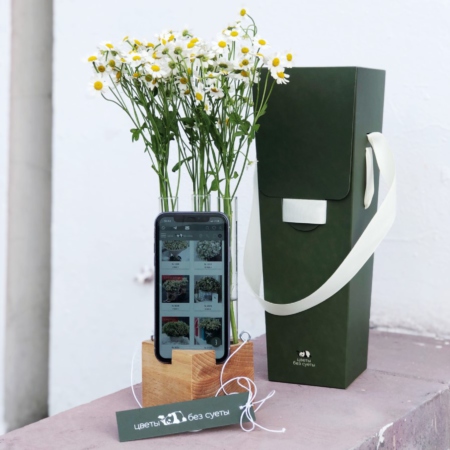 MF5183 - Подставка под телефон с ромашками - фото moscowflorist.ru