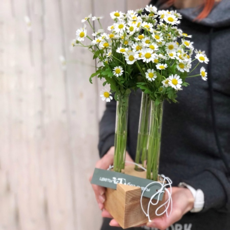 MF5183 - Подставка под телефон с ромашками - фото moscowflorist.ru