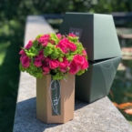 MF8114 - Коробка PandaBowl с яркими розами и гортензиями картинка №1 - moscowflorist.ru MF8114 - Коробка PandaBowl с яркими розами и гортензиями фото №1 - moscowflorist.ru