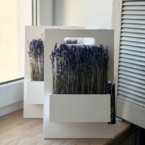 MF5653 - Этюдник 