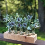 MF5243- Набор Алхимия с чертополохом картинка №2 - moscowflorist.ru MF5243- Набор Алхимия с чертополохом фото №2 - moscowflorist.ru