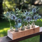 MF5243- Набор Алхимия с чертополохом картинка №3 - moscowflorist.ru MF5243- Набор Алхимия с чертополохом фото №3 - moscowflorist.ru