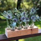MF5243- Набор Алхимия с чертополохом картинка №1 - moscowflorist.ru MF5243- Набор Алхимия с чертополохом фото №1 - moscowflorist.ru
