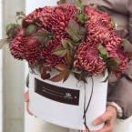 MF0932 - Овальная коробка Бургундия с сезонной хризантемой фото №1 - moscowflorist.ru