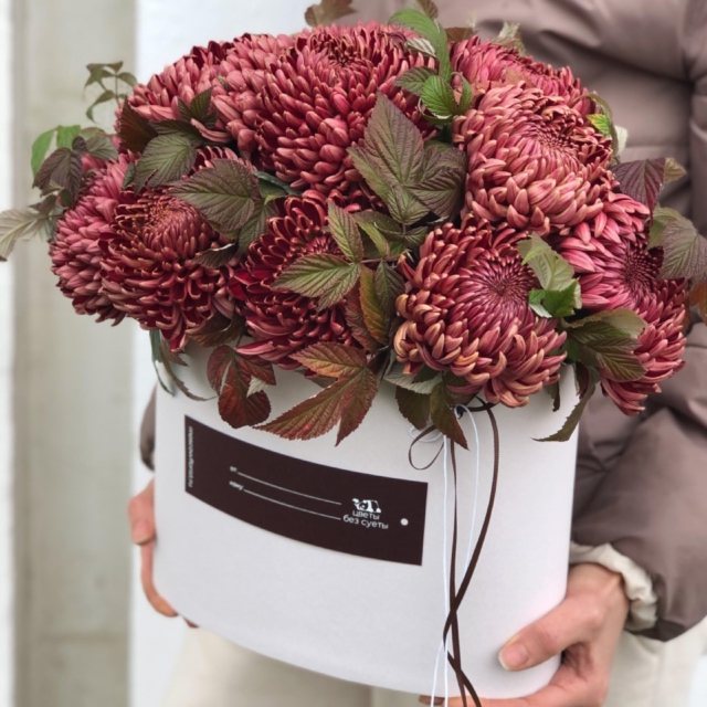 MF0932 - Овальная коробка Бургундия с сезонной хризантемой фото - moscowflorist.ru