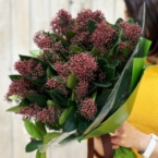 MF1330 - Сезонный букет с бордовой скимией фото №4 - moscowflorist.ru