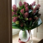 MF1330 - Сезонный букет с бордовой скимией фото №2 - moscowflorist.ru