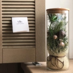 MF5865 - Огонёк - Композиция с хвойниками в натуральном убранстве с подсветкой фото №1 - moscowflorist.ru