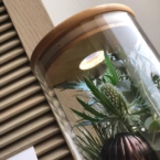 MF5865 - Огонёк - Композиция с хвойниками в натуральном убранстве с подсветкой фото №2 - moscowflorist.ru