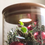 MF5866 - Огонек - Стеклянный тубус с хвойниками и красным декором (встроена подстветка) фото №3 - moscowflorist.ru