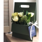 MF5660 - Этюдник 