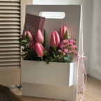 MF5660 - Этюдник 