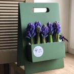 k5661 - Фирменная подставка Этюдник с гиацинтами (от 5 шт.) картинка №1 - moscowflorist.ru k5661 - Фирменная подставка Этюдник с гиацинтами (от 5 шт.) фото №1 - moscowflorist.ru