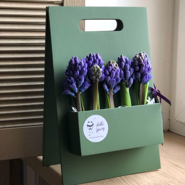 k5661 - Фирменная подставка Этюдник с гиацинтами (от 5 шт.) фото - moscowflorist.ru