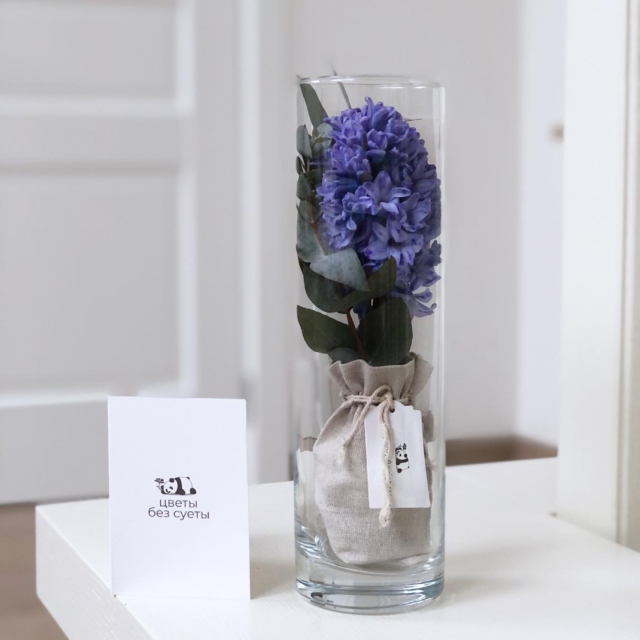 k5835 - Ваза с гиацинтом в холщовом мешочке (от 10 шт.) фото - moscowflorist.ru