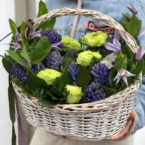MF4039 - Весенняя корзина с гиацинтами и зелеными розами фото №1 - moscowflorist.ru