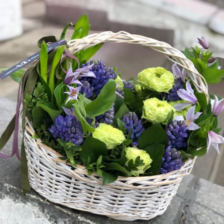 MF4039 - Весенняя корзина с гиацинтами и зелеными розами - фото moscowflorist.ru